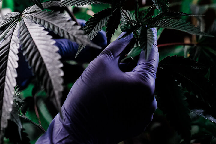 Agricultural